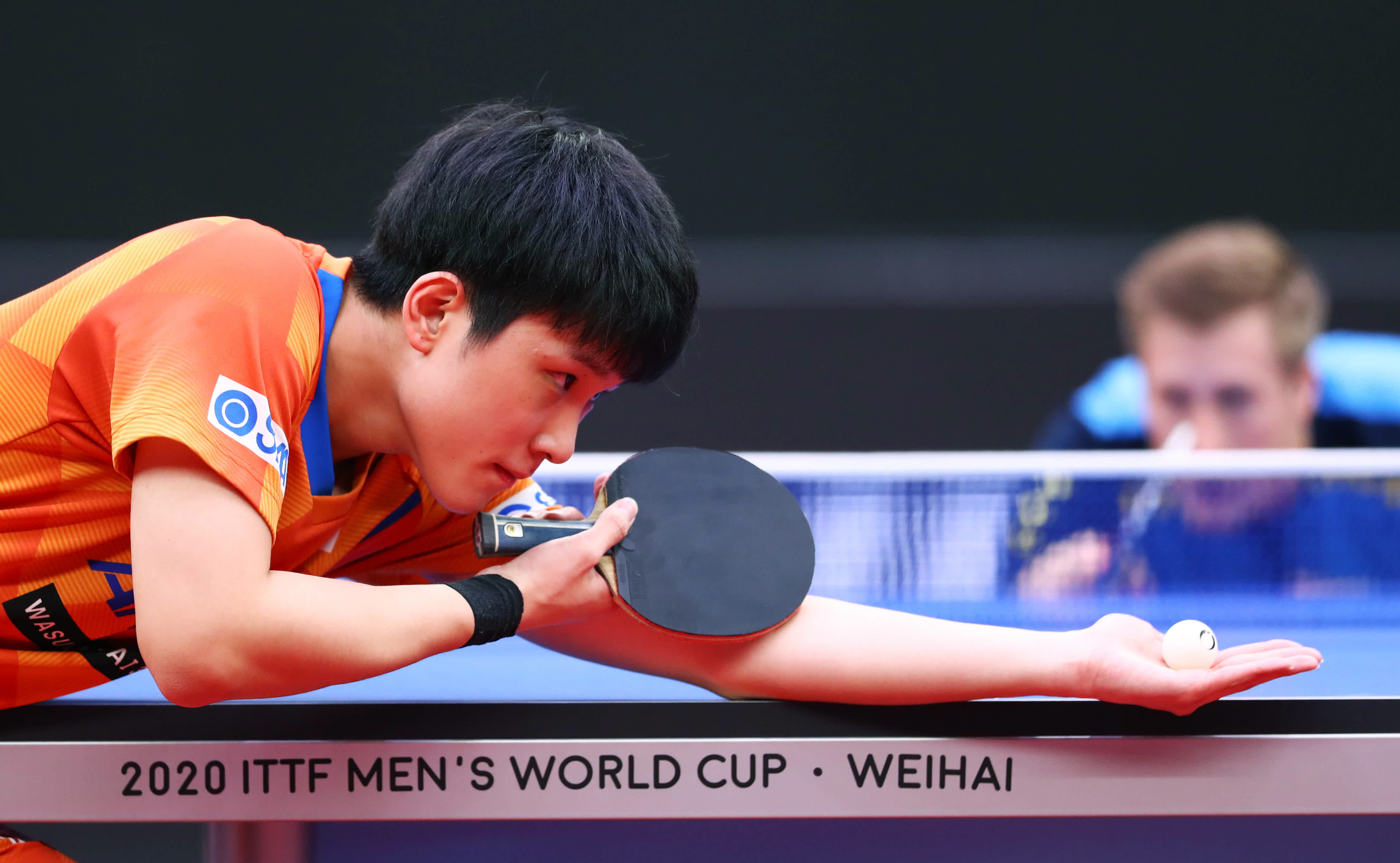 日本队完胜中国队，张本智和点燃赛场