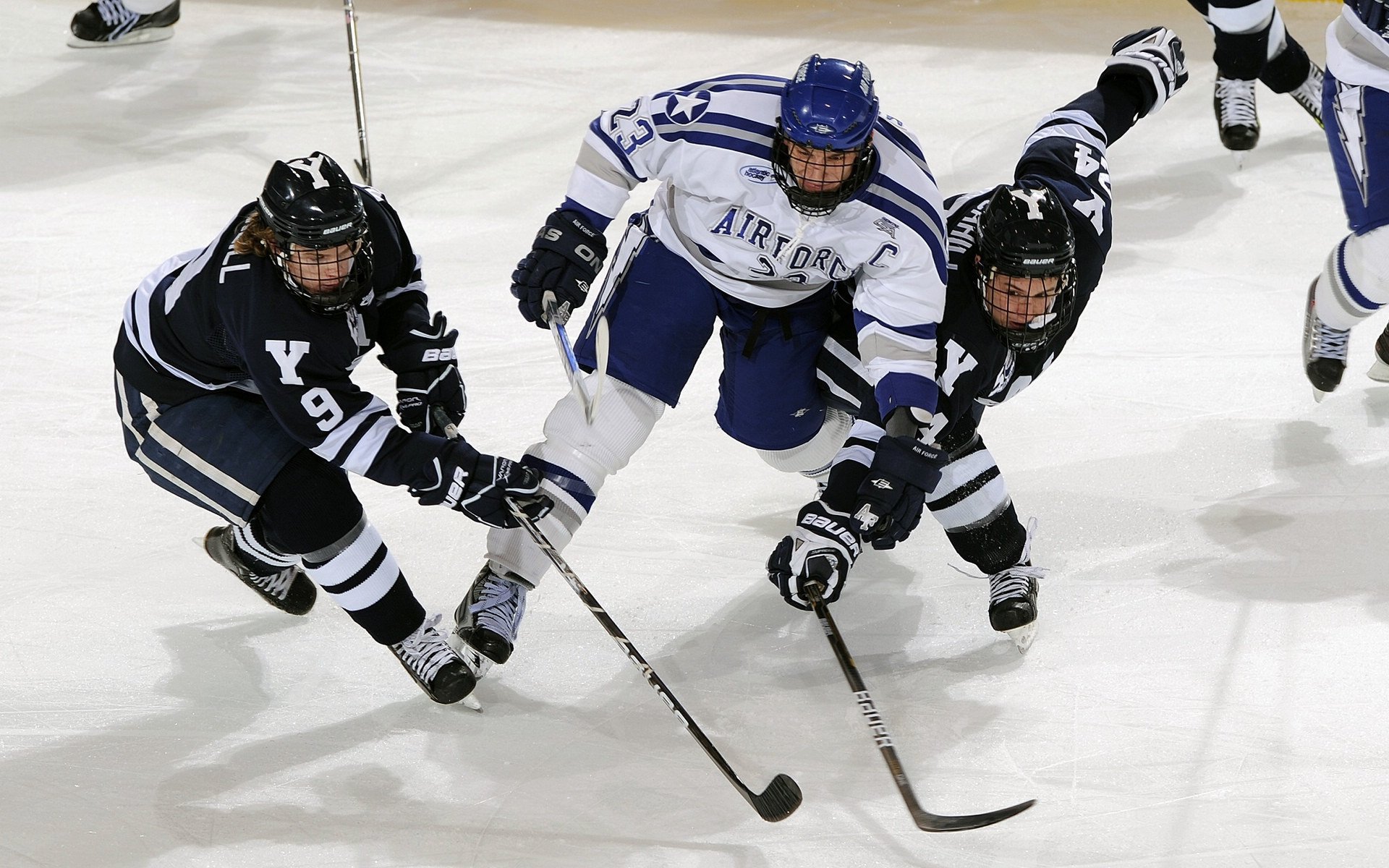 武切维奇一球定乾坤，当广东精神遇上黄蜂意志，篮球哲学在绝杀中绽放